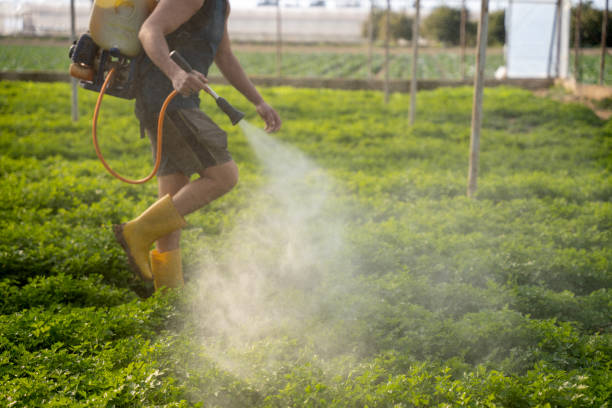 Best Pest Prevention Services  in Point, TX