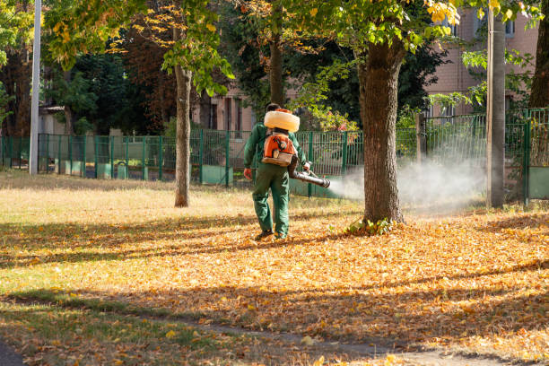 Best Pest Prevention Services  in Point, TX
