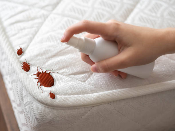Best Commercial Pest Control Services  in Point, TX